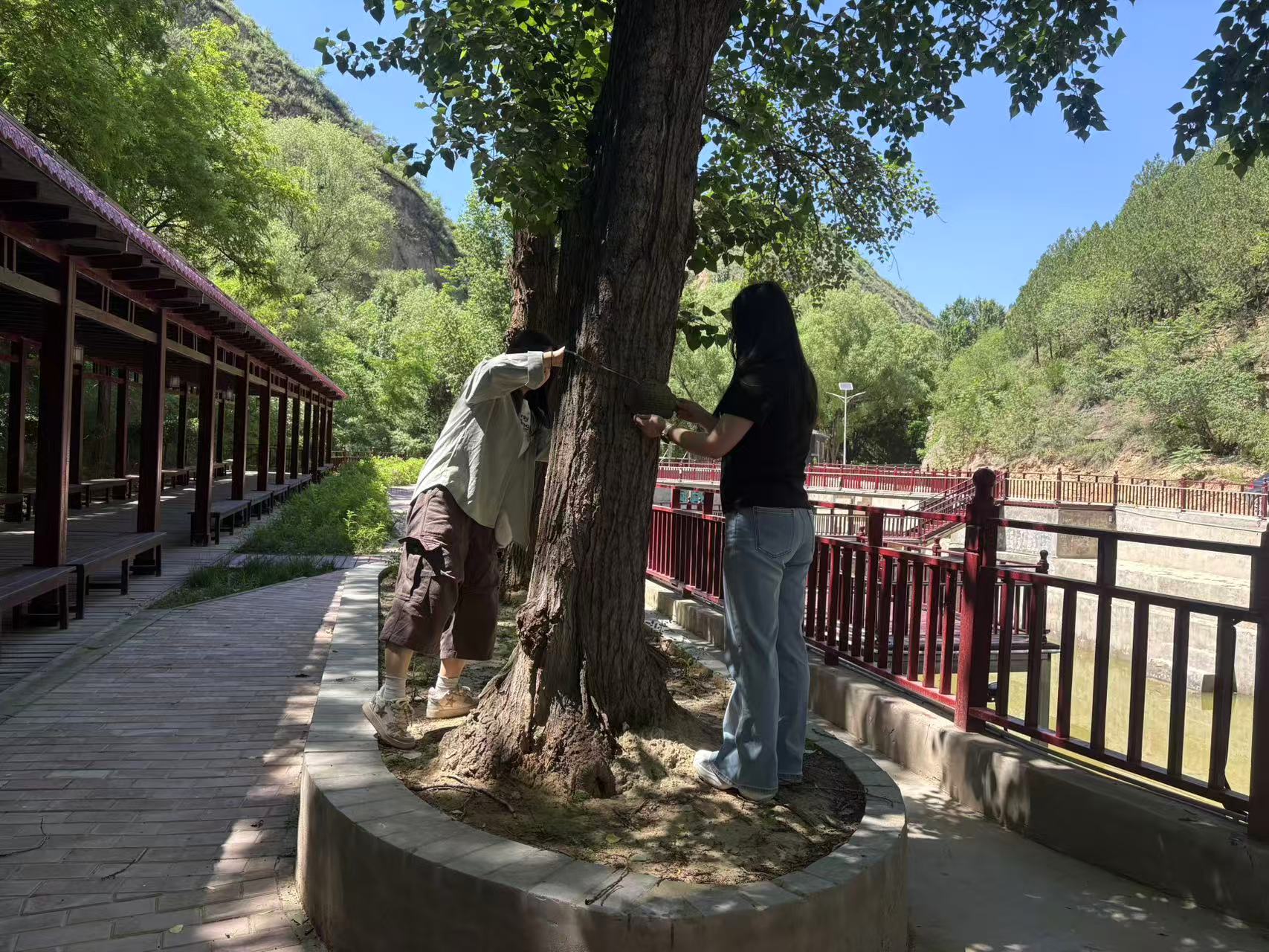 微信图片_20260615105258_774_104.jpg 微信图片_20260615105258_774_104.jpg