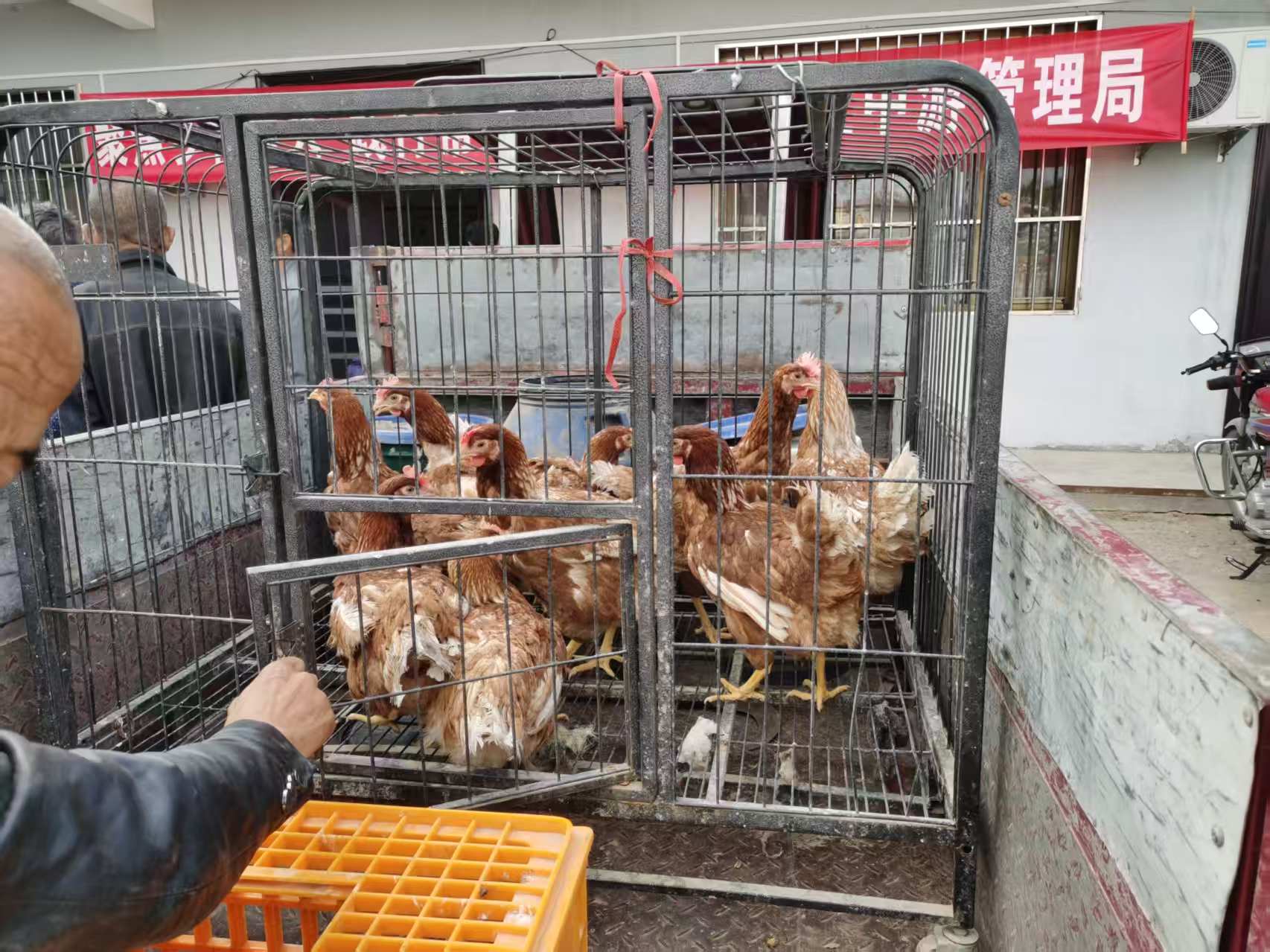 微信图片_20260514162352_185_4.jpg