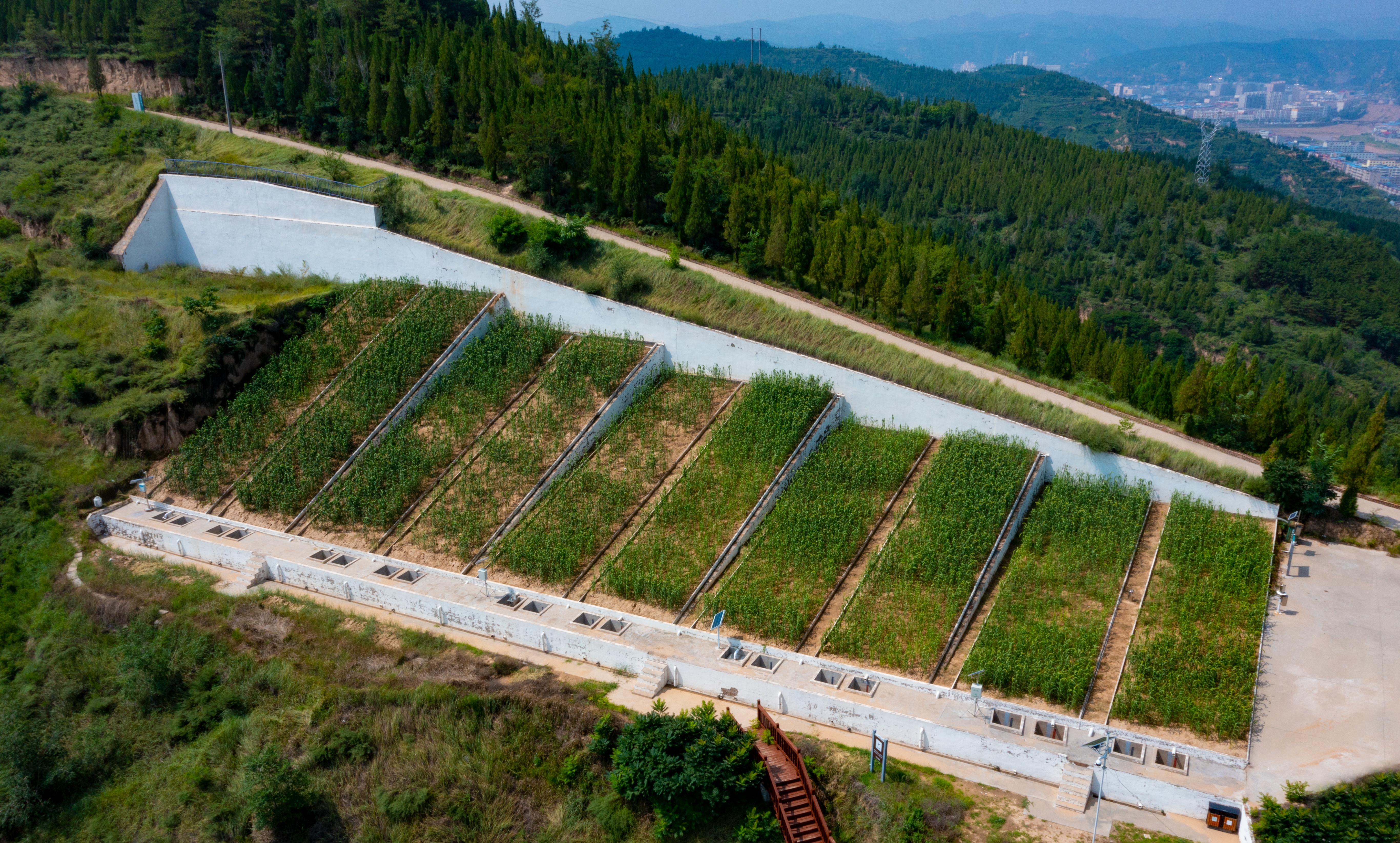 不同坡度径流小区.jpg 不同坡度径流小区.jpg