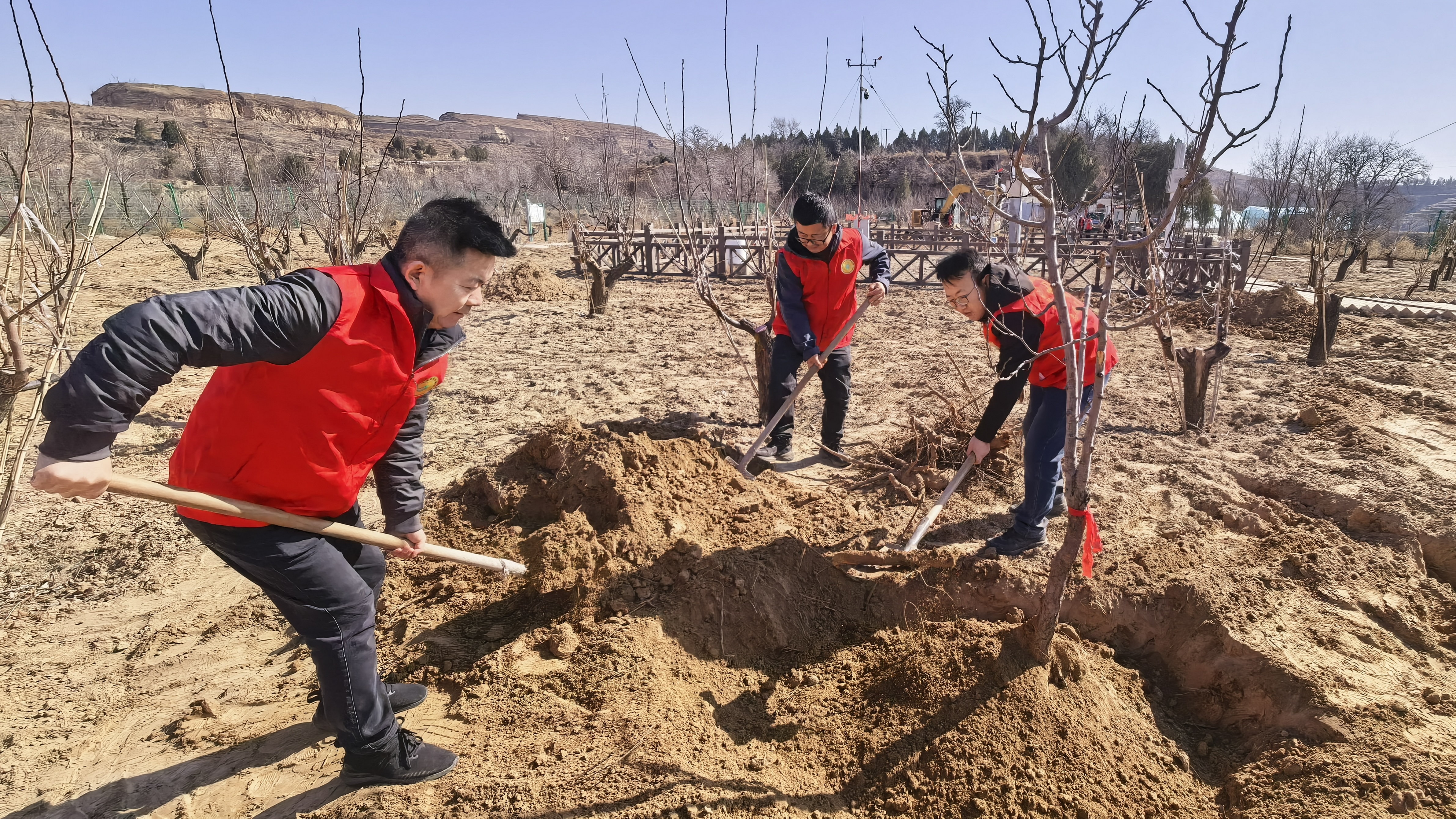 微信图片_20260312161816_12_48.jpg 微信图片_20260312161816_12_48.jpg