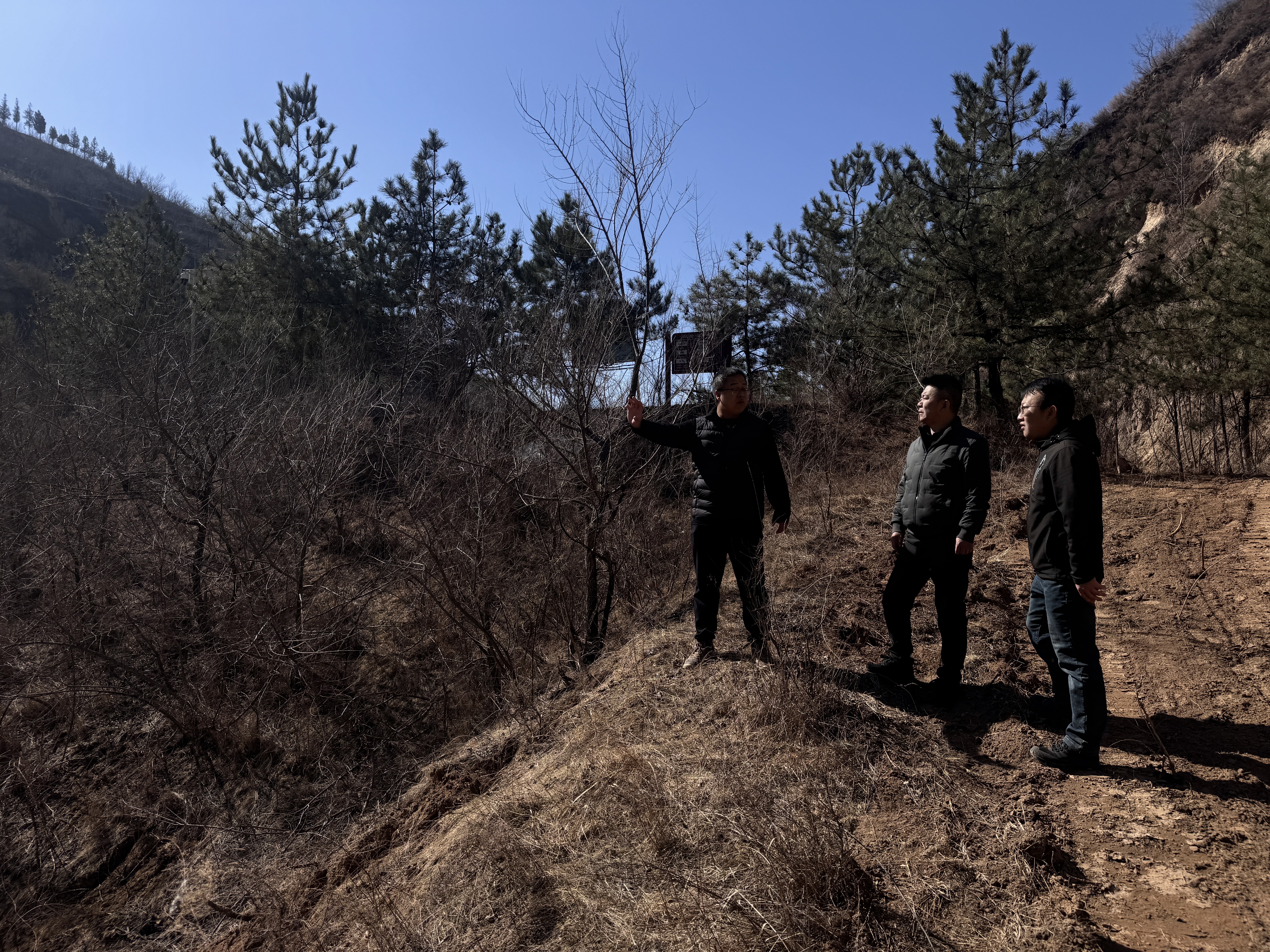 微信图片_20260313094911_4_160.jpg 微信图片_20260313094911_4_160.jpg