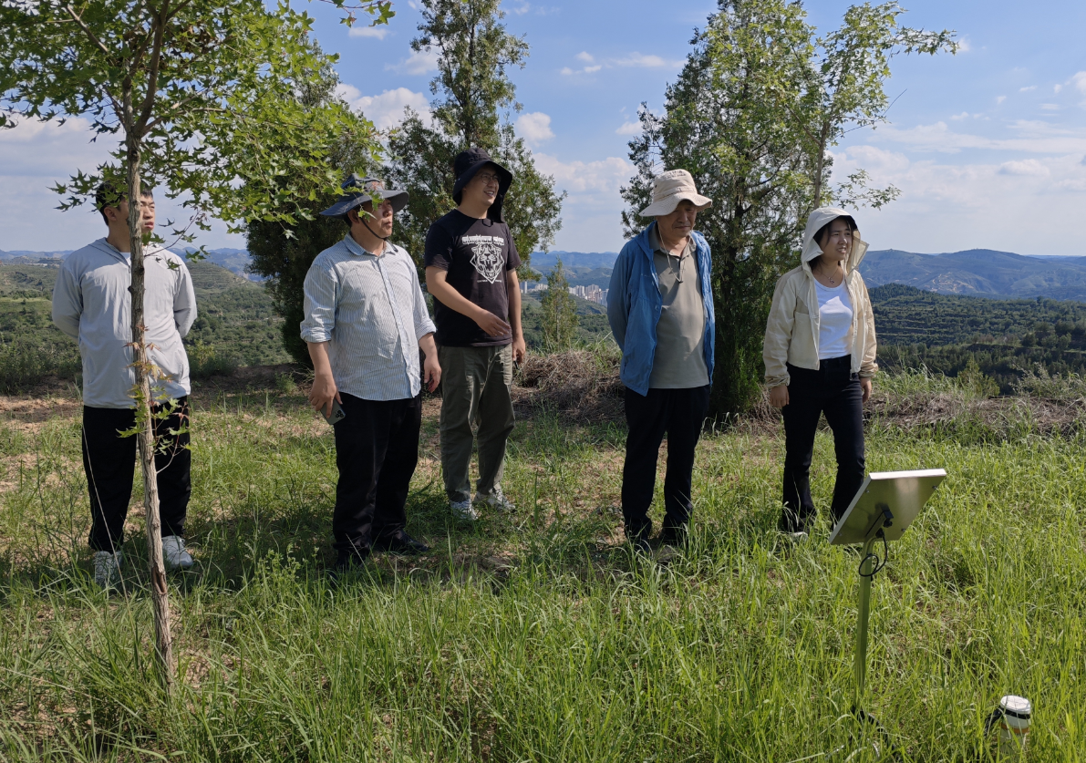 屏幕截图 2025-07-08 090845.png 屏幕截图 2025-07-08 090845.png