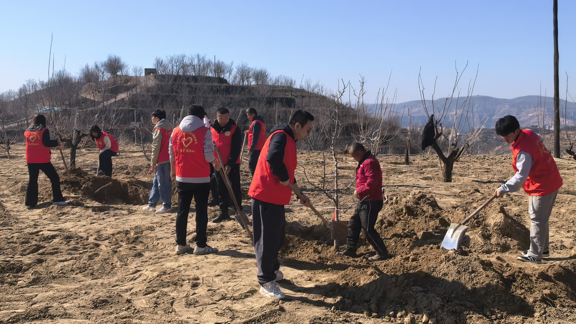 微信图片_20260312161812_10_48.jpg 微信图片_20260312161812_10_48.jpg