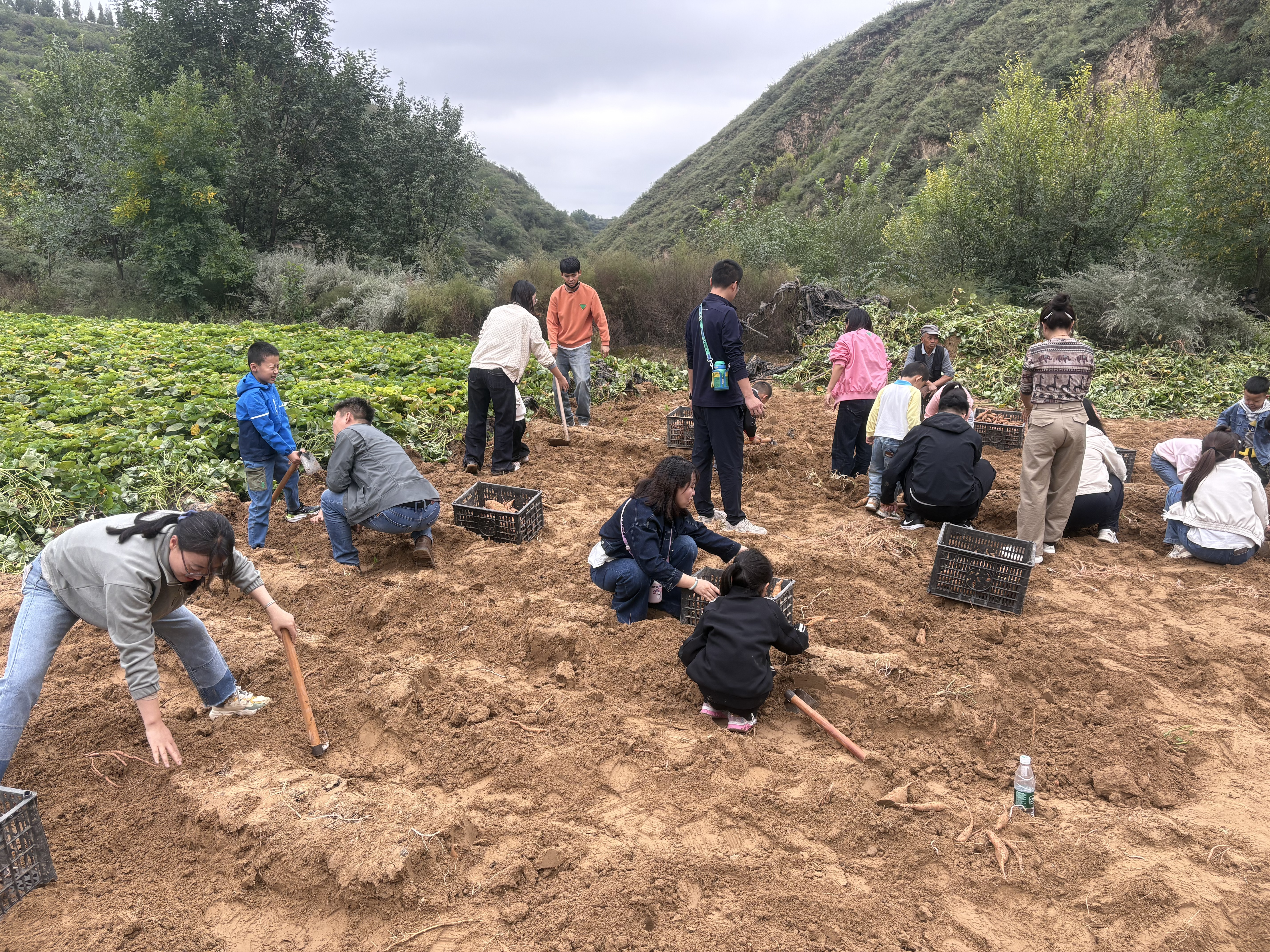 图片2.png 图片2.png