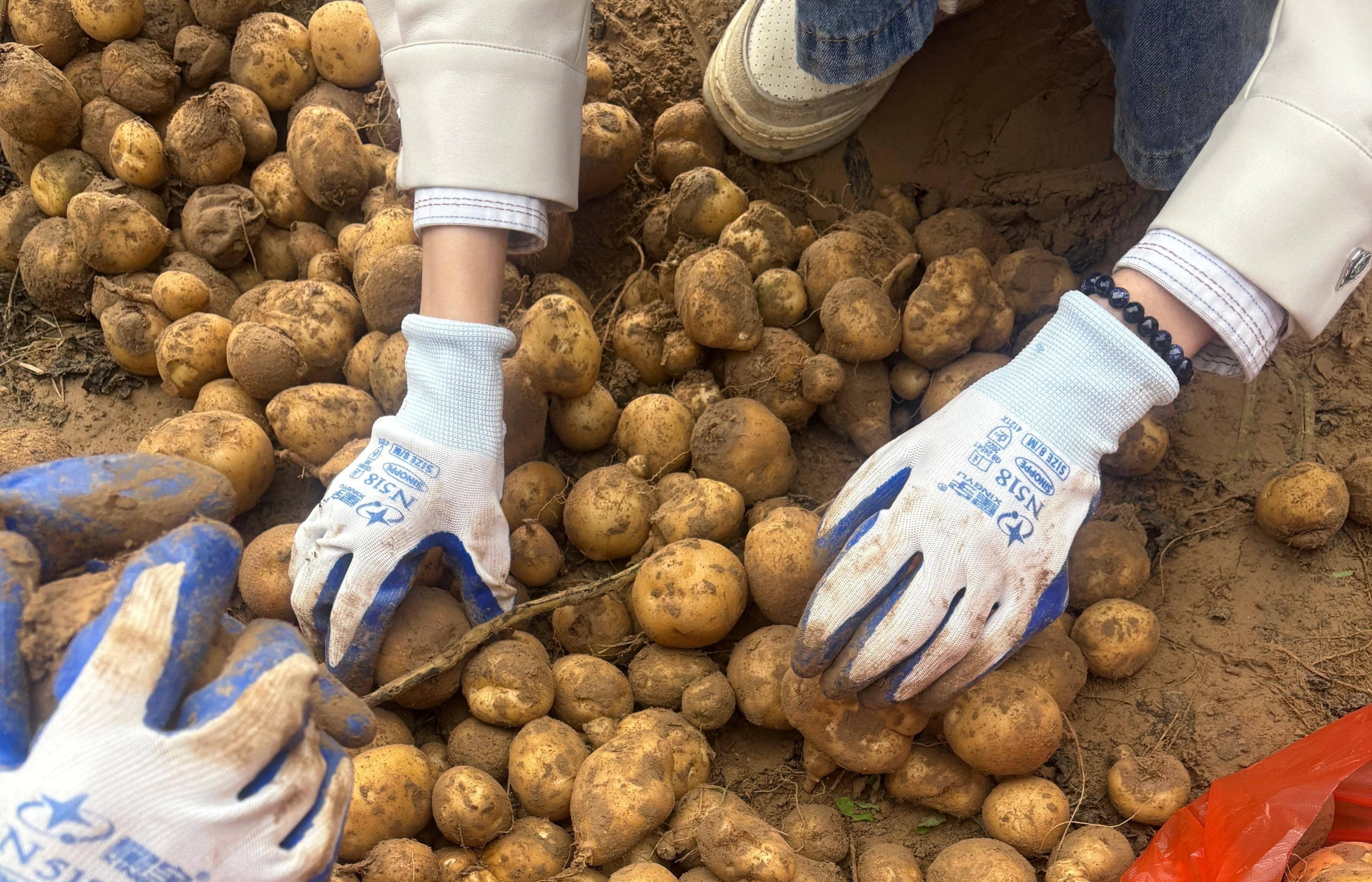 图片3.jpg 图片3.jpg